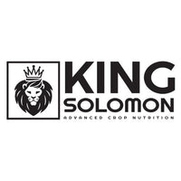 King Solomon