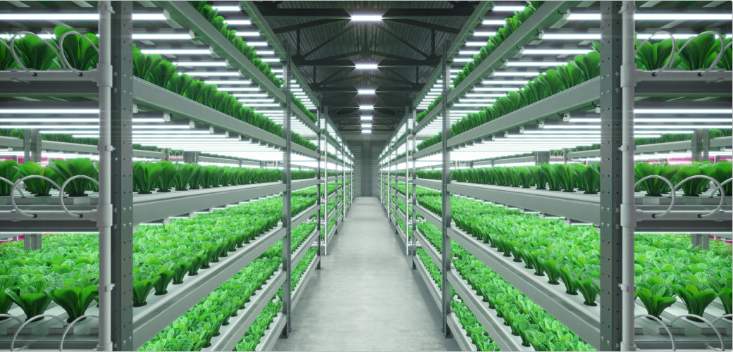 Cultivation Superstore