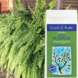 Coast of Maine 1-0-1 4 lbs Kelp Meal Organic Plant Food (Pallet of 400)