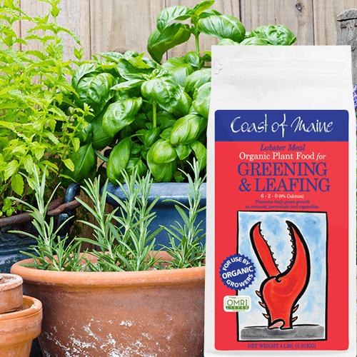 Coast of Maine 6-2-0 4 lbs Lobster Meal Organic Plant Food (Pallet of 400)