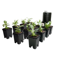 Active Aqua Grow Flow 5 Gal System with Controller Unit and 3/4" Tubing
