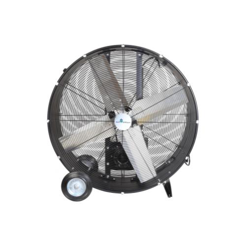 Air Grean 36