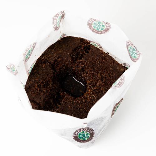 CharCoir 3L (0.5 Gallon) Biopot Coco Grow Bag (1/2 Pallet)