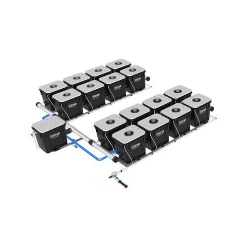 Current Culture Under Current Double Barrel RDWC System (3 Variations)