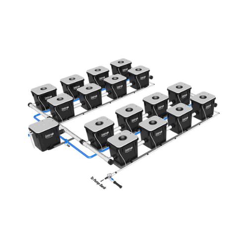 Current Culture Under Current XL Double Barrel RDWC System (3 Variations)