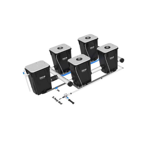 Current Culture Under Current XL13 Standard RDWC System (5 Variations)