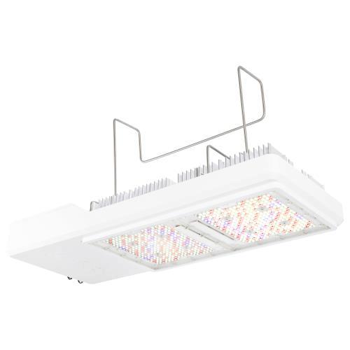 Gavita CT1930e 120-277V LED Grow Light