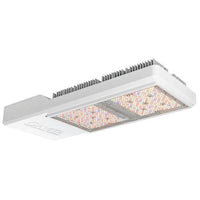 Gavita CT1930e 277-480V LED Grow Light