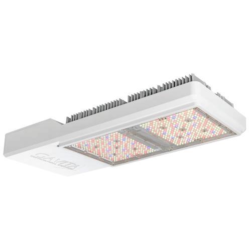 Gavita CT1930e 277-480V LED Grow Light