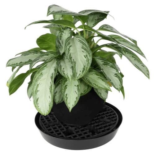 Gro Pro 18.5 Inch NX Level Pot Elevator (Case of 100)