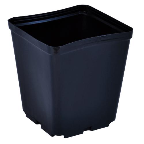 Gro Pro 5.5 Inch x 5.5 Inch x 6 Inch Square Plastic Pot (Case of 1000)