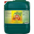House & Garden 20 L Top Booster