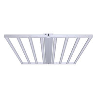 Ion Lighting 720W 120V - 277V LED Grow Light