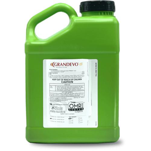 Marrone Bio Grandevo 4 lb Bioinsecticide