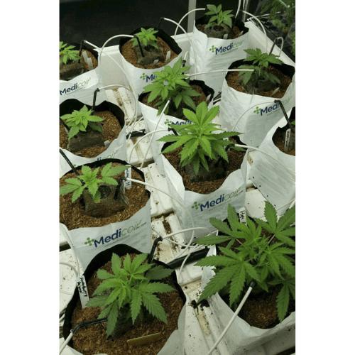 Medicoir Premium 1 Gallon Open Top Coco Grow Bag (Pallet of 2000)