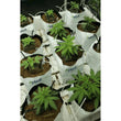 Medicoir Premium 2 Gallon Open Top Coco Grow Bag (Pallet of 1300)