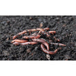 Mother Earth 1 Cu Ft Worm Castings (Pallet of 50)