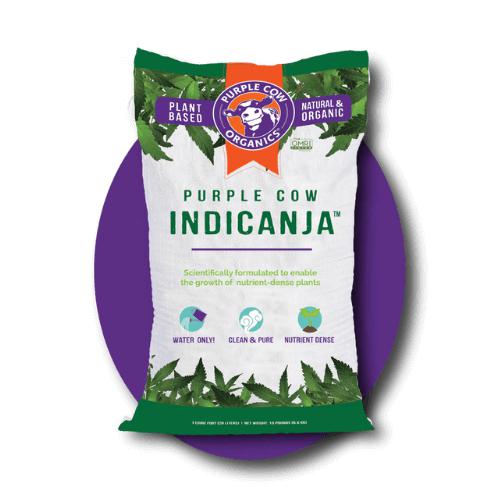 Purple Cow 1 Cu Ft IndiCanja (Pallet of 70)