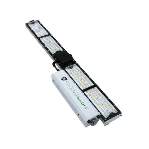 Scynce LED 250W Raging Kale II Grow Light