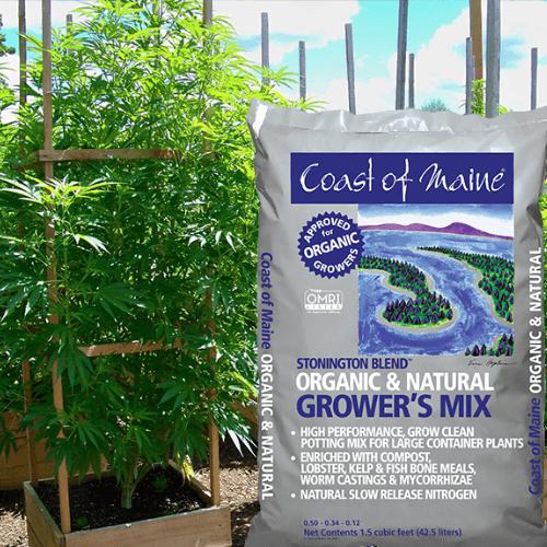 Coast of Maine 1.5 cu ft Stonington Blend Organic Growers Mix (Pallet of 60)