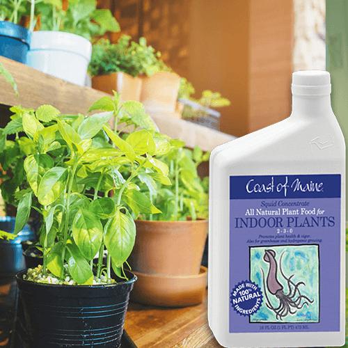 Coast of Maine 2-3-0 1 qt Squid All Natural Liquid Plant Food (Pallet of 480)