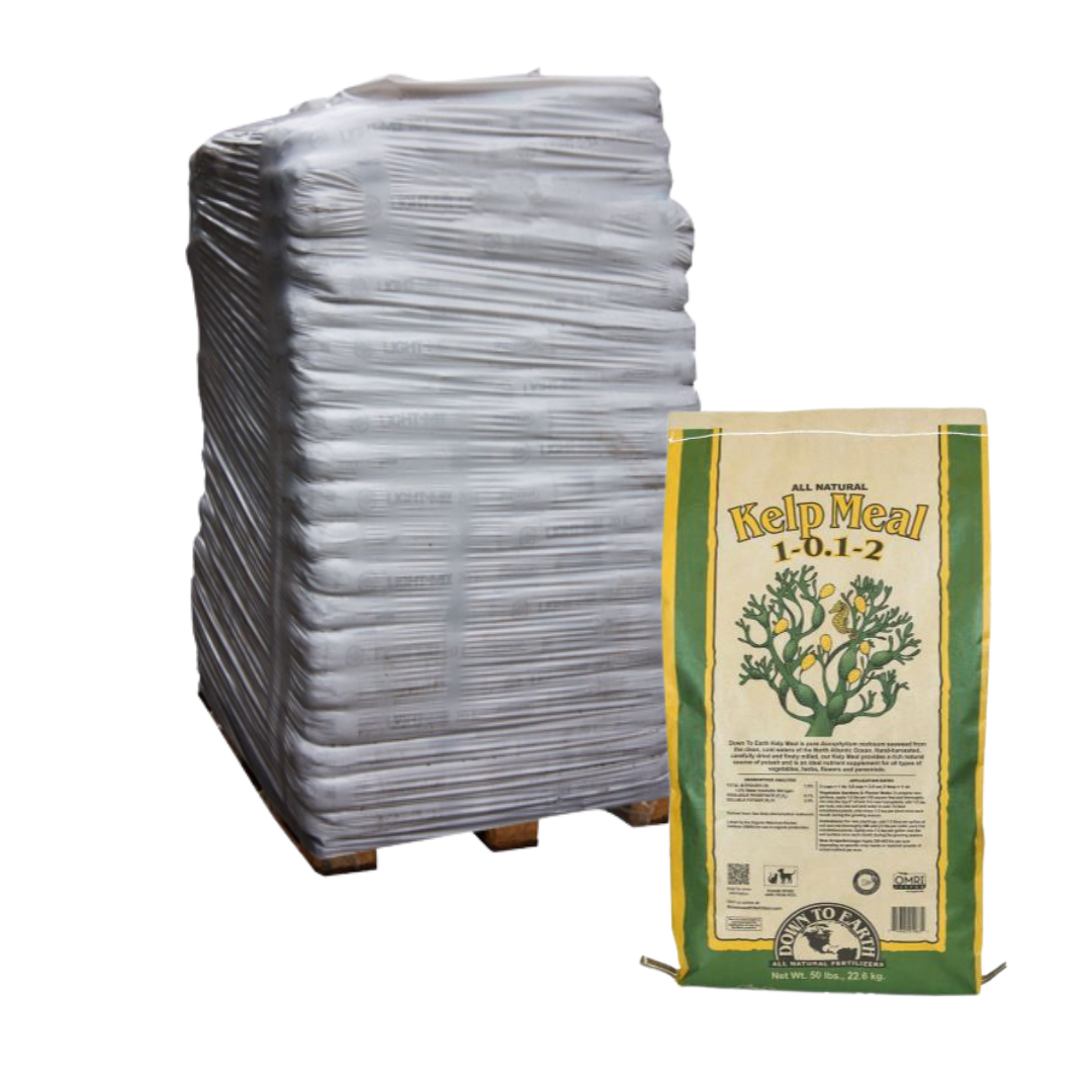 Down To Earth Kelp Meal - 50 lb (Pallet of 40)