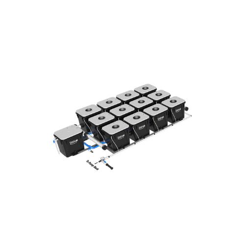 Current Culture Under Current Evolution RDWC System (4 Variations)