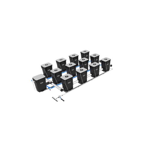 Current Culture Under Current XL13 Evolution RDWC System (4 Variations)