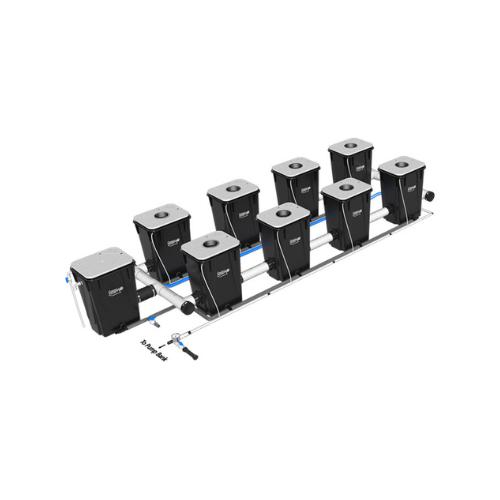 Current Culture Under Current XL13 Standard RDWC System (5 Variations)