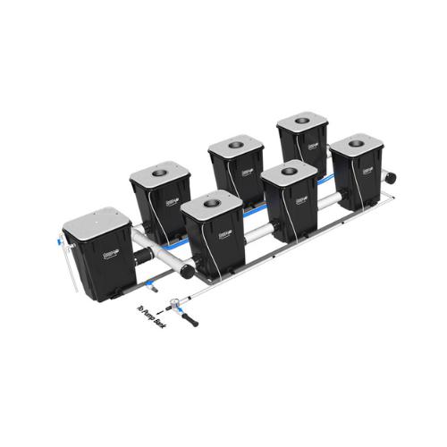 Current Culture Under Current XL13 Standard RDWC System (5 Variations)