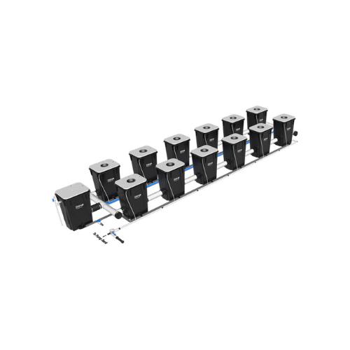 Current Culture Under Current XL13 Standard RDWC System (5 Variations)