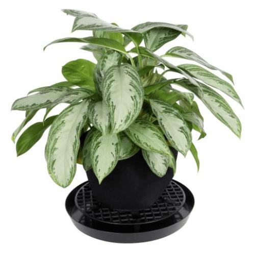 Gro Pro 16 Inch NX Level Pot Elevator (Case of 300)