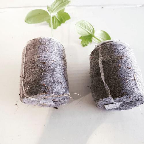 GroEzy 36MM Coco Plug/Pellet (Case of 1500)