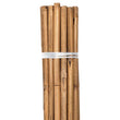 Grower's Edge 4 Ft Bulk Natural Bamboo (Pack of 100)
