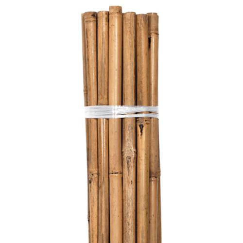 Grower's Edge 8 Ft Bulk Natural Bamboo (Pack of 50)