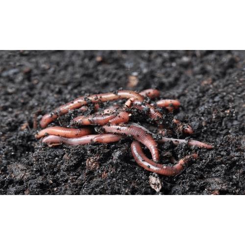 Mother Earth 1 Cu Ft Worm Castings  (Pallet of 50)