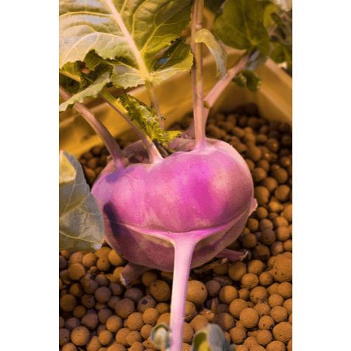 Mother Earth 25 Liter Hydroton Original  (Pallet of 60)