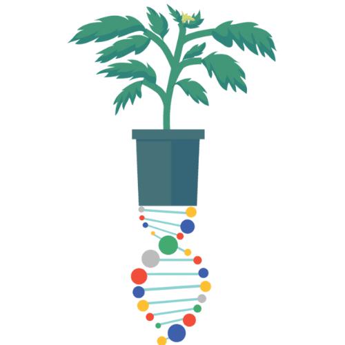 SoHum Living Soils 1.5 Cubic Foot Bags (Pallet of 60)