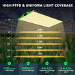 Viparspectra Pro Series P2500 250W LED Grow Light